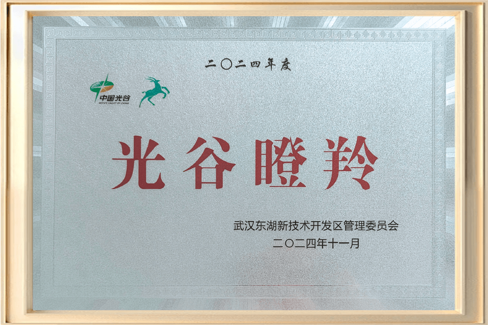 2024年光谷瞪羚