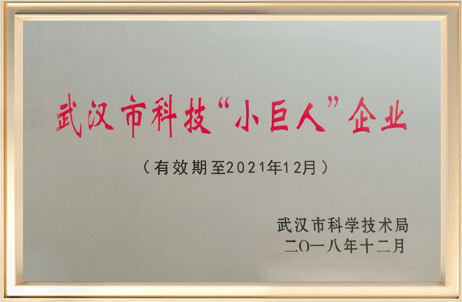 武汉市科技小巨人企业