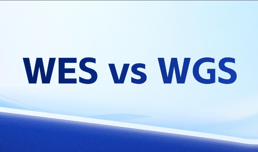 WES vs WGS：生信视角下的测序策略抉择