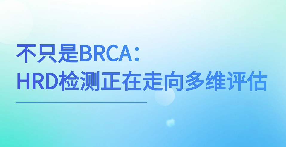 不只是BRCA：HRD检测正在走向多维评估