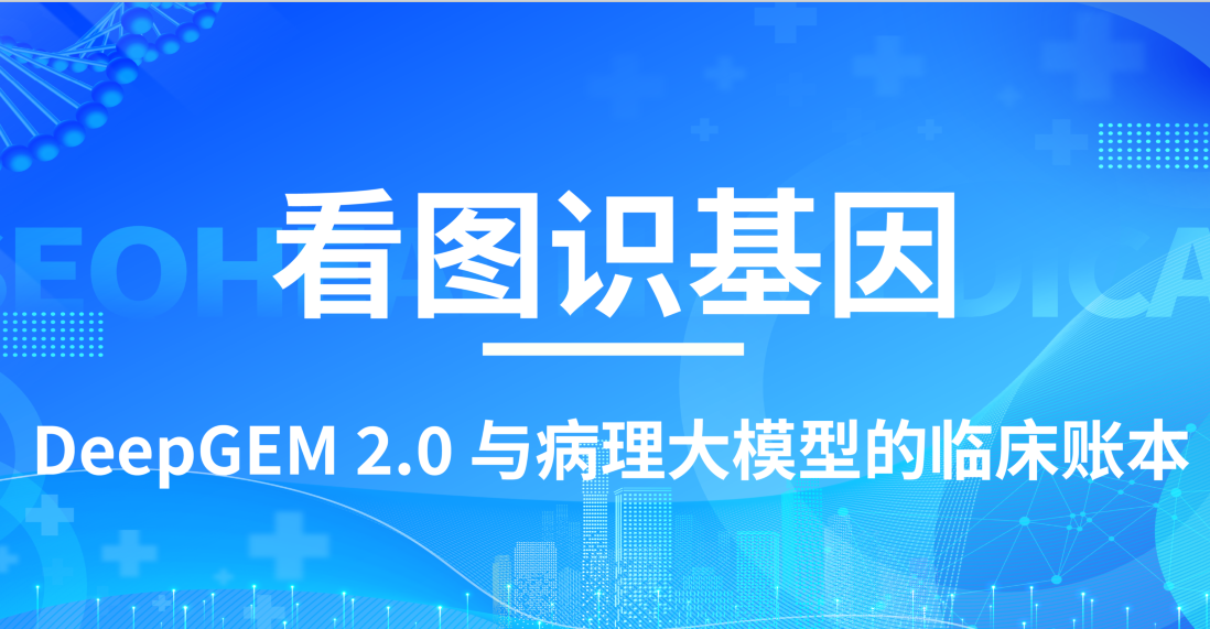 看图识基因：DeepGEM 2.0 与病理大模型的临床账本