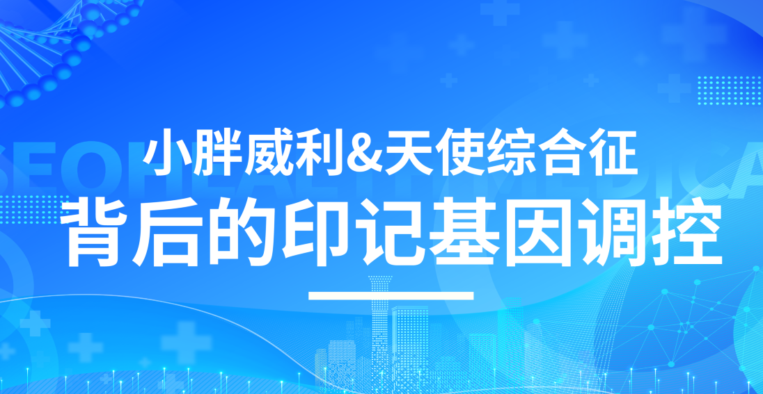 小胖威利&天使综合征背后的印记基因调控