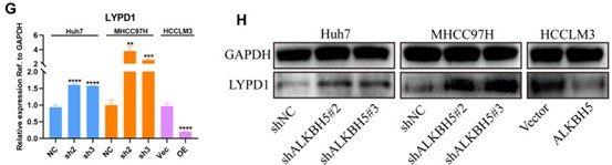Fig4_HTML